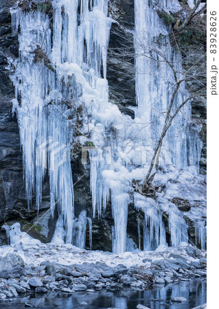 みそつちのつらら 三十槌の氷柱 埼玉県 秩父 三十槌渓谷 みそつちのつらら 三十槌の氷柱 埼玉県 秩父 三十槌渓谷 83928626