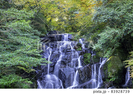 糸島の人気スポット 秋の美しい白糸の滝 (福岡県糸島市) 糸島の人気スポット 秋の美しい白糸の滝 (福岡県糸島市) 83928739