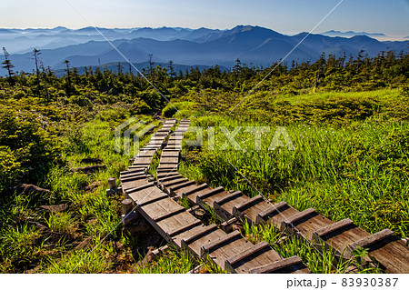 苗場山・神楽ノ峰の登りから見る谷川連峰・日光・尾瀬の山並み 83930387