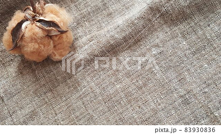 手紡ぎ手織り布と原材料の茶綿(左上) 83930836