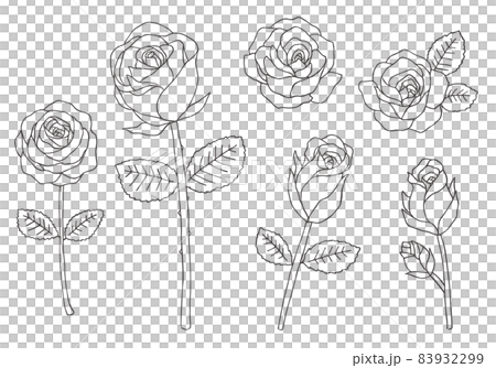 Hand-drawn illustration set of roses (monochrome) Hand-drawn illustration set of roses (monochrome) 83932299