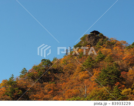関川村鷹の巣温泉、鷹の巣山展望台の紅葉 83933229