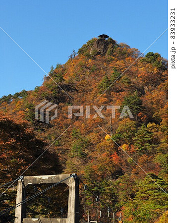 関川村鷹の巣温泉、鷹の巣山展望台の紅葉 83933231