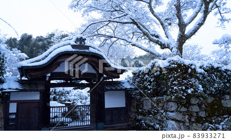 冬　雪の日吉馬場 83933271