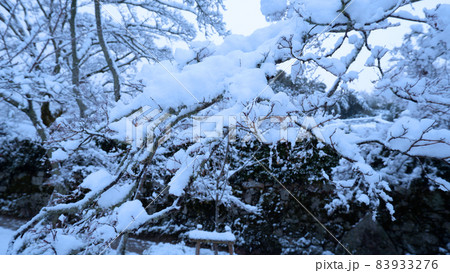 冬　雪の日吉馬場 83933276