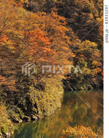 赤芝峡の紅葉 赤芝峡の紅葉 83933297