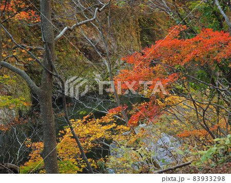 赤芝峡の紅葉 赤芝峡の紅葉 83933298
