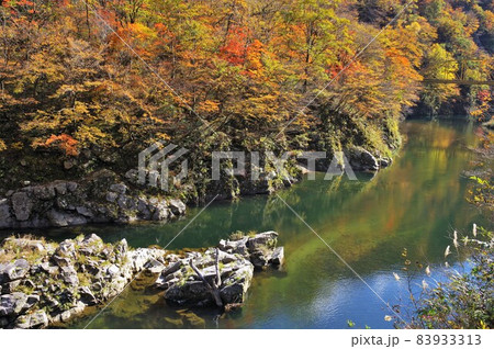 赤芝峡の紅葉 83933313