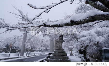 冬　雪の日吉馬場 83933346
