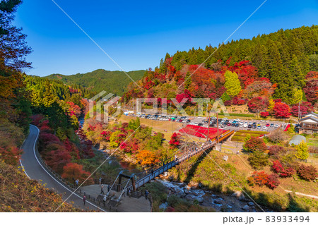秋の大井平公園〈愛知県豊田市〉 83933494