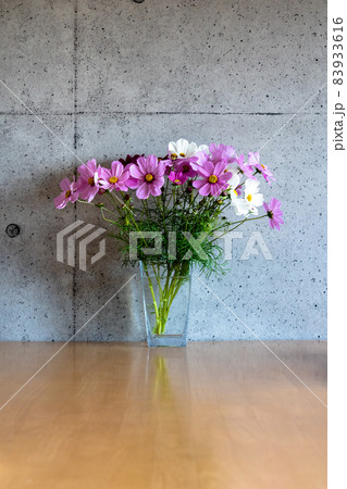 花瓶に挿したコスモスの写真素材 [83933616] - PIXTA