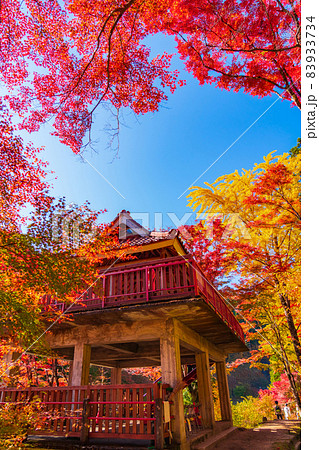 秋の大井平公園〈愛知県豊田市〉 83933734