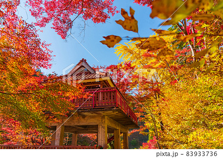 秋の大井平公園〈愛知県豊田市〉 秋の大井平公園〈愛知県豊田市〉 83933736