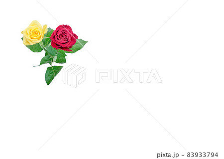 花　薔薇　バラ　赤いバラ　黄色いバラ 83933794