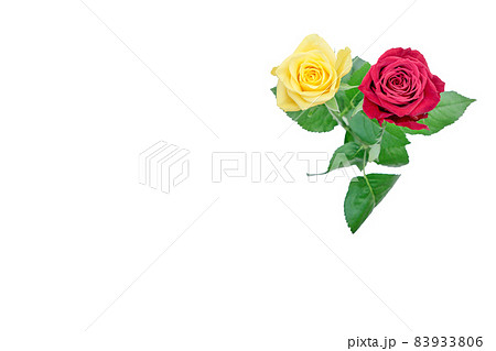 花 薔薇 バラ 赤いバラ 黄色いバラ 花 薔薇 バラ 赤いバラ 黄色いバラ 83933806