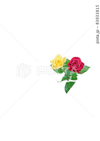 花 薔薇 バラ 赤いバラ 黄色いバラ 花 薔薇 バラ 赤いバラ 黄色いバラ 83933815
