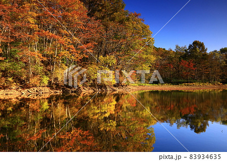岩手県盛岡市 紅葉の岩洞湖 岩手県盛岡市 紅葉の岩洞湖 83934635