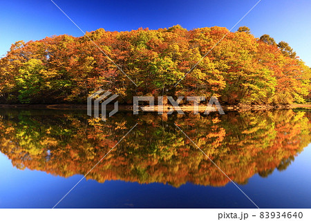 岩手県盛岡市 紅葉の岩洞湖 岩手県盛岡市 紅葉の岩洞湖 83934640