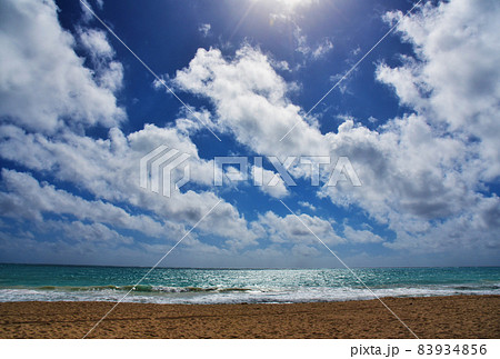 ベローズフィールドビーチパーク,ワイマナロ 83934856