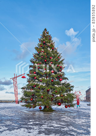 Natural Christmas tree decorated red Xmas baubles and white birds on town square. Modern city Christmas concept 83935892