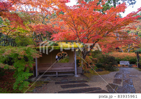 宮城県松島の円通院の紅葉が素晴らしい　日帰りデートスポットして大人気 83935961