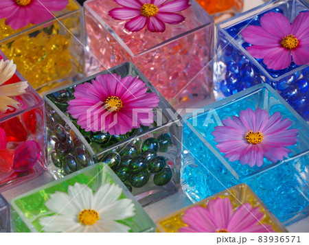色とりどりのコスモスの生け花が入ったグラス 色とりどりのコスモスの生け花が入ったグラス 83936571