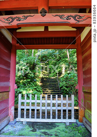 鎌倉 妙法寺 仁王門から見える美しい苔の石段 鎌倉 妙法寺 仁王門から見える美しい苔の石段 83936664