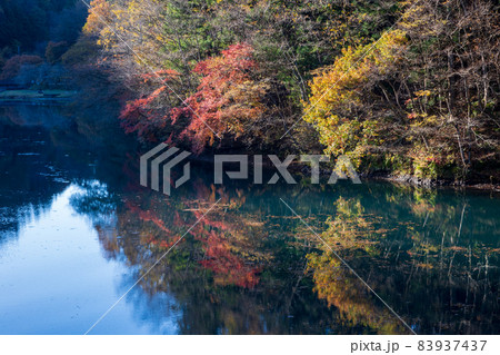 四万湖の水鏡 群馬県中之条町 四万湖の水鏡 群馬県中之条町 83937437