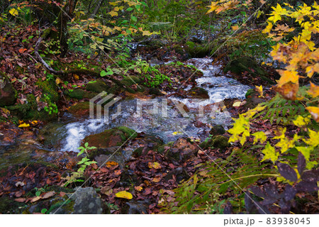 紅葉に彩られた福島の裏磐梯・五色沼周辺の清流 83938045