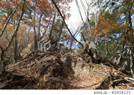 2021年11月の埼玉県秩父の両神山の登山v 83938123