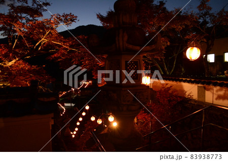 もみじまつり_清林寺 83938773