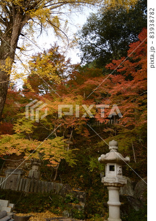もみじまつり_清林寺 83938782