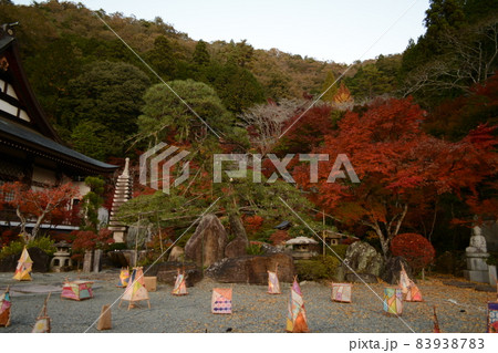 もみじまつり_清林寺 83938783