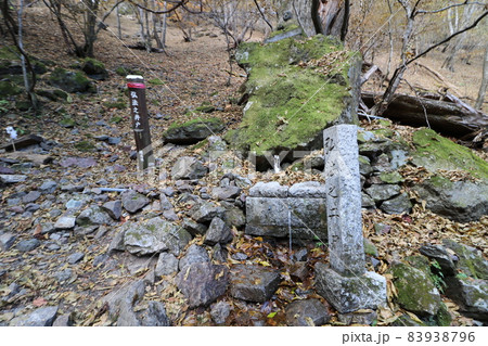 2021年11月の埼玉県秩父の両神山の日向大谷登山口からの登山 2021年11月の埼玉県秩父の両神山の日向大谷登山口からの登山 83938796