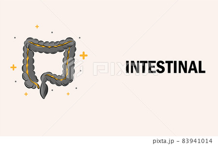 Human intestinal and treatment with cute. A concept hospital for wallpaper and web. Human intestinal and treatment with cute. A concept hospital for wallpaper and web. 83941014