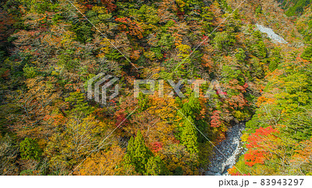 【ドローン空撮】秋の高の瀬峡【紅葉】 83943297