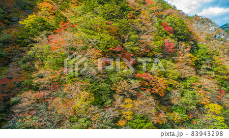 【ドローン空撮】秋の高の瀬峡【紅葉】 83943298