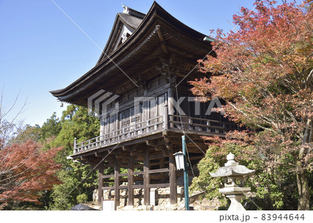 秋の如意輪堂　醍醐寺 83944644