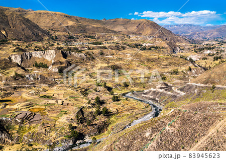 Terraced fields within the Colca Canyon in Peru Terraced fields within the Colca Canyon in Peru 83945623