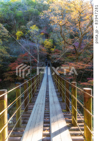 茨城県高萩市　紅葉の花貫渓谷 83947281