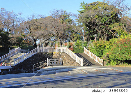 飛鳥山公園 北区王子 飛鳥山公園 北区王子 83948346