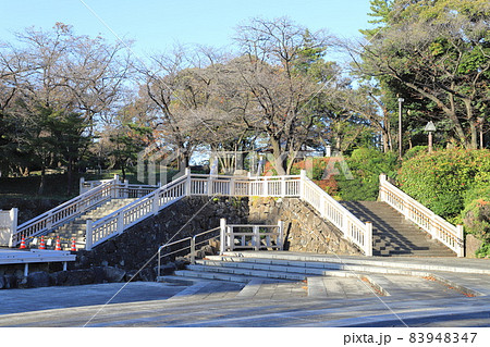 飛鳥山公園　北区王子 83948347