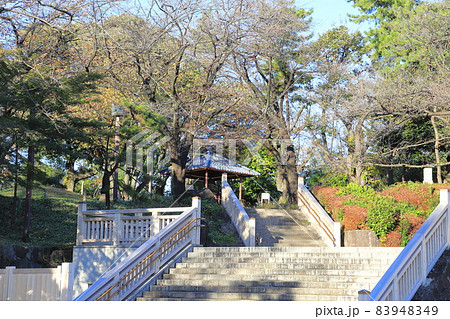 飛鳥山公園 北区王子 飛鳥山公園 北区王子 83948349