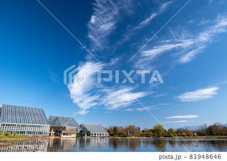 温室のある池と快晴の雲 83948646