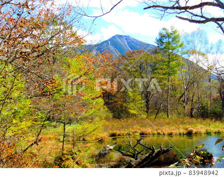 戦場ヶ原 泉門池 戦場ヶ原 泉門池 83948942