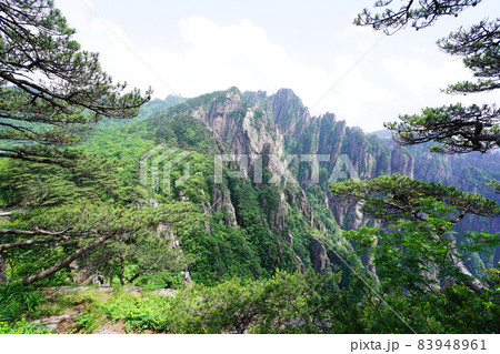 スポット 自然 山 83948961