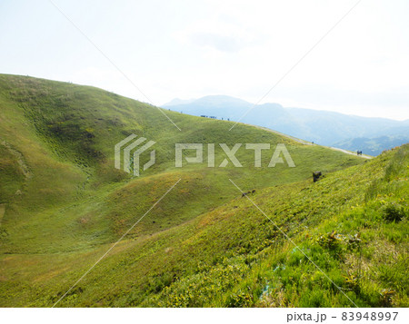 大室山(静岡県伊東市) 大室山(静岡県伊東市) 83948997