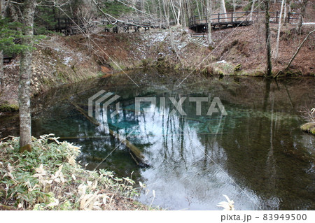 神の子池_清里町 神の子池_清里町 83949500