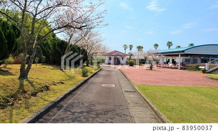 人気スポット番所が丘公園　阿久根市　鹿児島県 83950037
