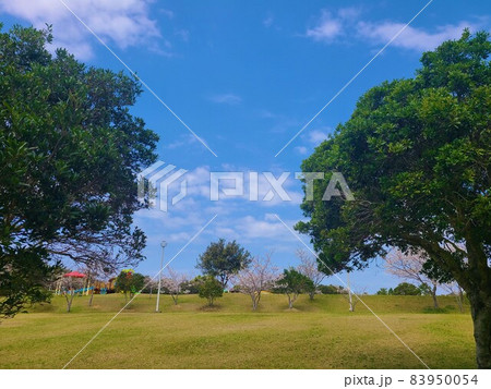 人気スポット番所が丘公園　阿久根市　鹿児島県 83950054